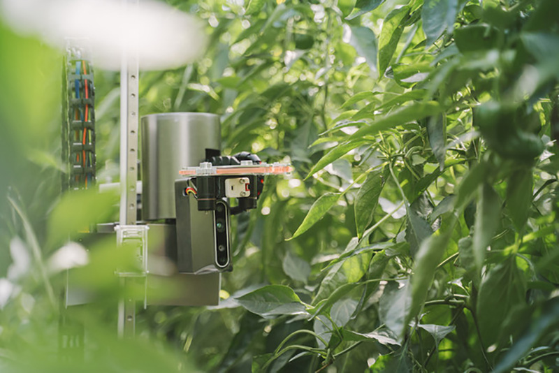 収穫ロボット開発、アグリテックで農業課題を解決する