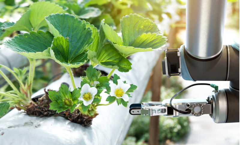 スマート農業におけるロボットの導入事例｜背景や解決すべき課題も紹介