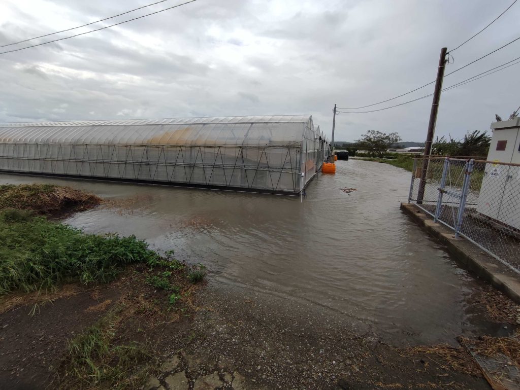 AGRISTの被災した農場