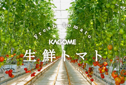 KAGOMEの農場