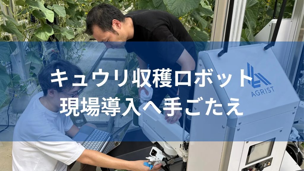 初導入。現場でのキュウリ収穫ロボット稼働にエンジニア手ごたえ
