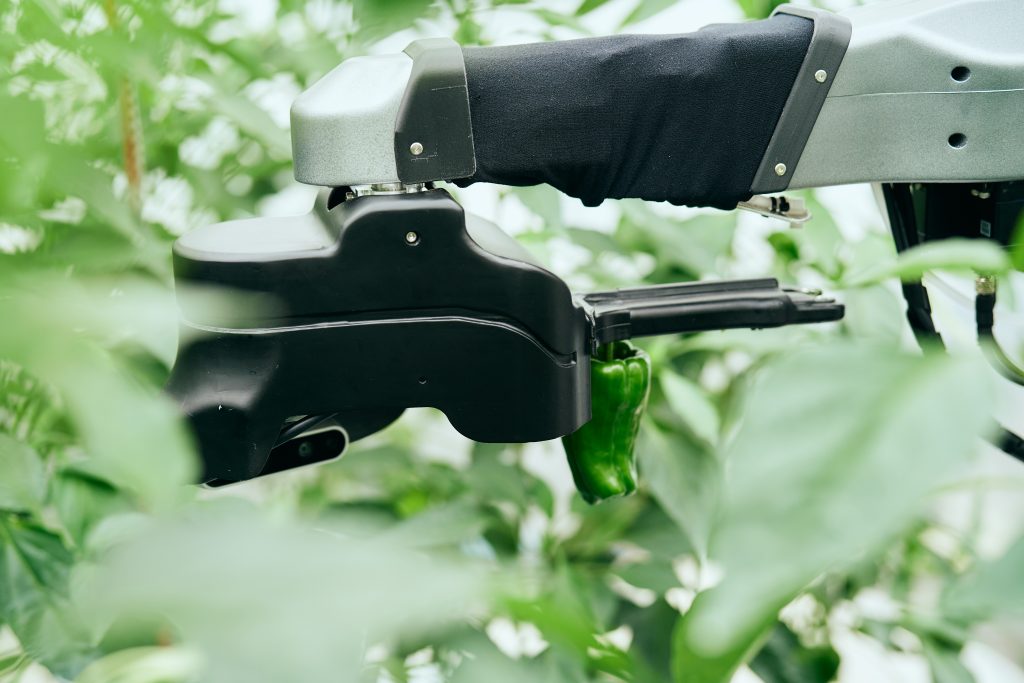 農業の担い手不足を解消 – AGRIST株式会社がJR九州ファーム株式会社様、他2農家と協力し、AI収穫ロボットを実証実験として導入。ピーマン農家の生産性向上に貢献。