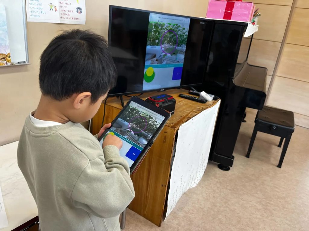 約1000キロ先の農場と鹿児島市幼稚園をつないでキュウリの遠隔収穫体験実施