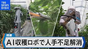 BS TBS  Bizスクエアの特集動画でAGRISTが紹介されました