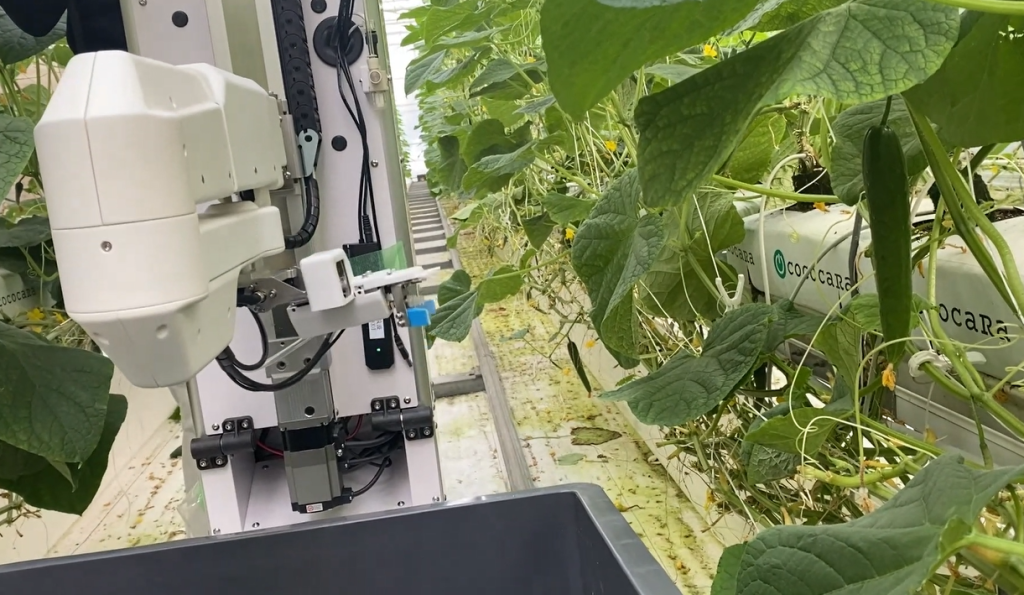 2024キュウリ収穫ロボット最新動画を公開