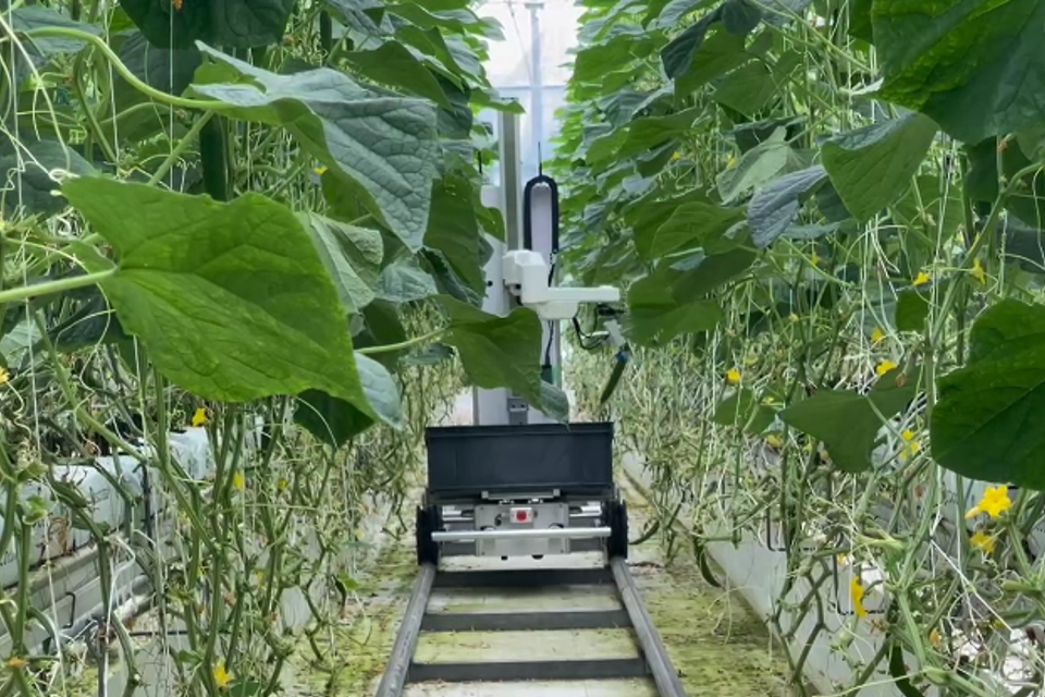 農林水産省のこども向け「お仕事紹介ウェブページ」にAGRISTのキュウリ収穫ロボットの写真が掲載中