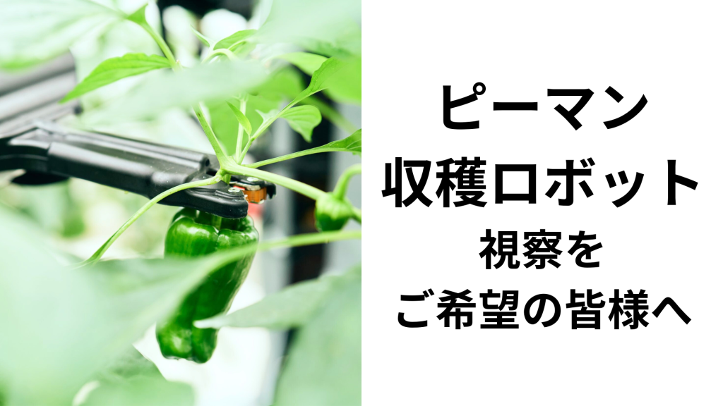 農場視察について