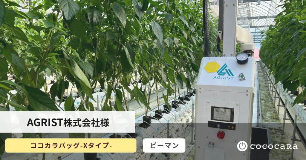 cococaraの導入事例記事、cocoふぁむにそれぞれ掲載されました。