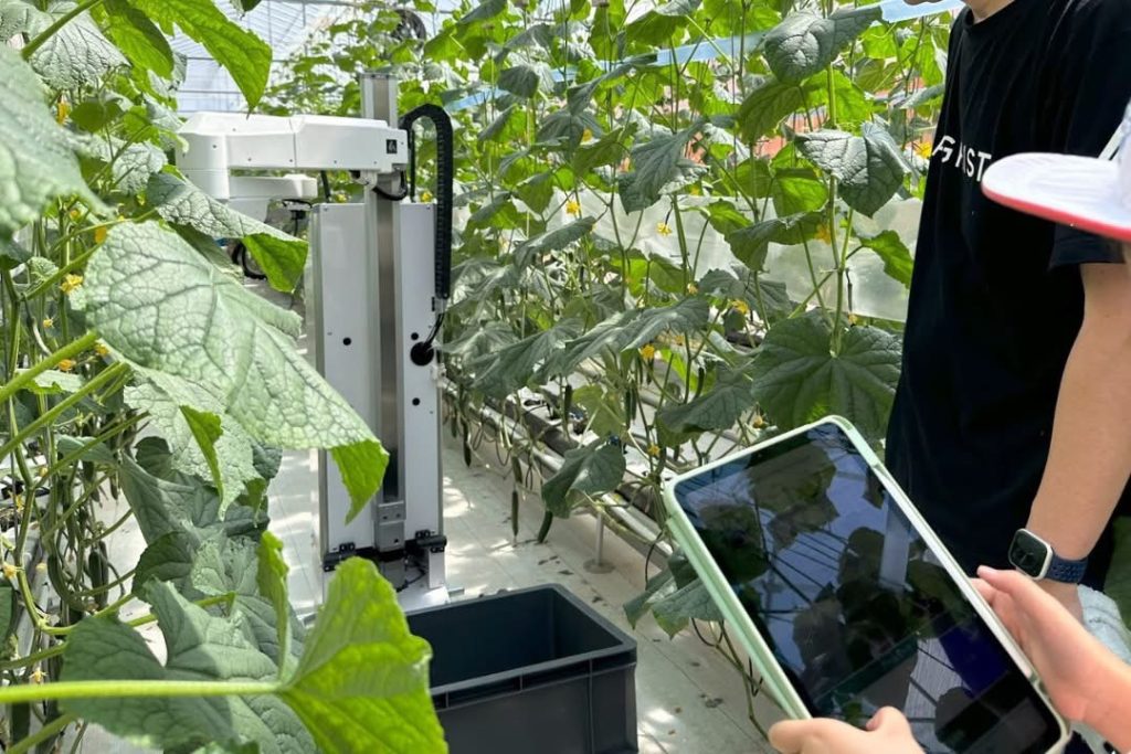 千葉県初開催！100名の小学生が「ロボットのリモート操作による収穫作業」を体験
