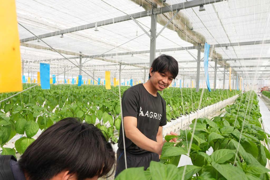 30代からの農業転職：畑で叶える心身の健康と幸福感