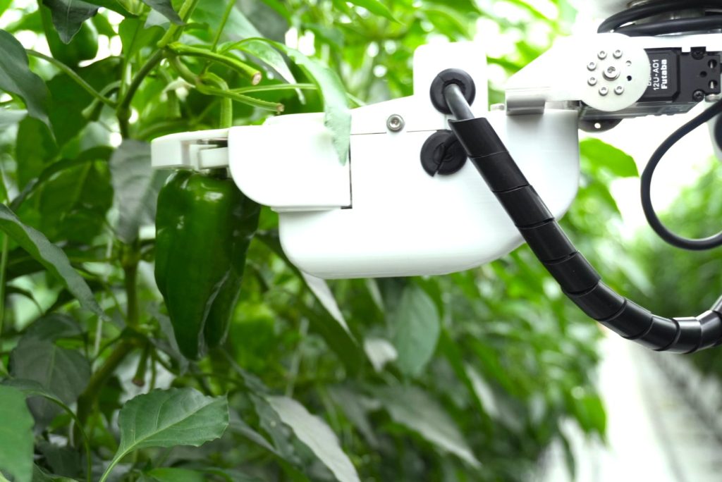 AGRIST、JA全農いわてに機能強化をしたピーマン収穫ロボットを継続導入決定