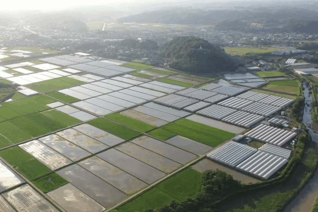 脱炭素×スマート農業を社会インフラへ──AGRIST、グローバル・インフラ・マネジメントからシリーズB資金調達。自治体連携で「廃校・遊休施設・耕作放棄地」を農業で再生