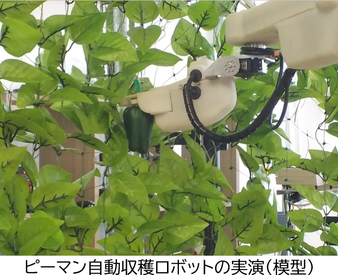 九州農政局_宮崎県拠点のウェブページに掲載されました
