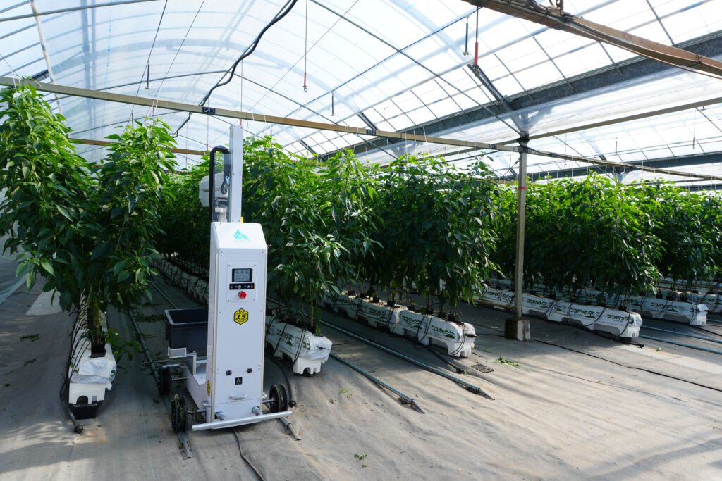 韓国「MBN News」でAGRISTの自動収穫ロボットが紹介